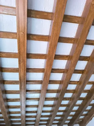 Servicios de pintura profesional