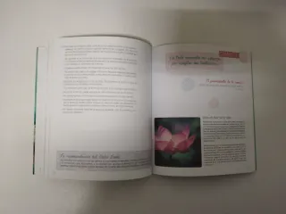 Mi diario de meditación: Un año de actividades ...