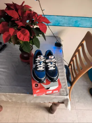 Zapatillas Nike Azules y Blancas