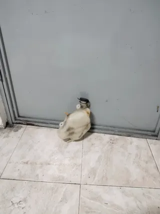 Honda Silver Wing 600