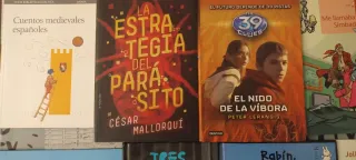 Lote de 13 libros juveniles e infantiles