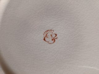 Set 6 Piatti Pizza + 1 più grande da portata