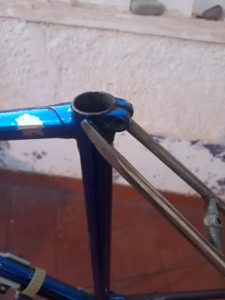 Cuadro bici Francesco Moser Cromovelato