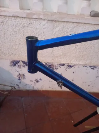 Cuadro bici Francesco Moser Cromovelato