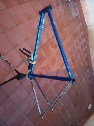 Cuadro bici Francesco Moser Cromovelato