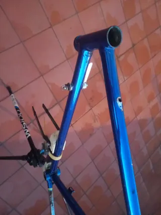 Cuadro bici Francesco Moser Cromovelato