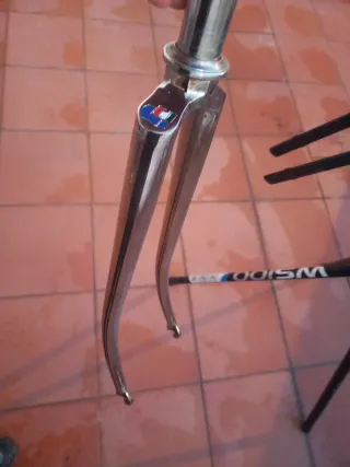 Cuadro bici Francesco Moser Cromovelato