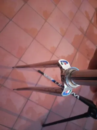 Cuadro bici Francesco Moser Cromovelato