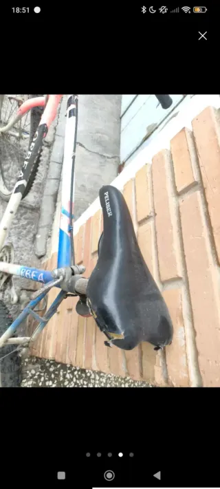 Bicicleta Orbea Peliser