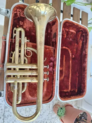 Corneta Olds Ambassador