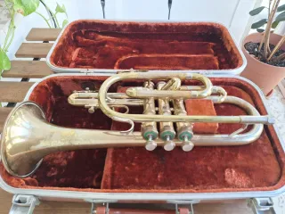 Corneta Olds Ambassador