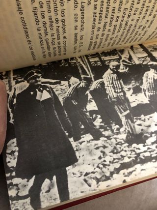 La historia vivida en los Campos de exterminación.