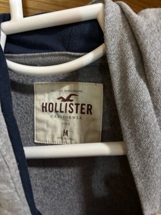 Sudadera Hollister Gris