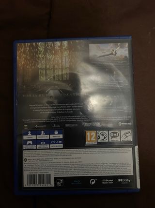 Hogwarts Legacy PS4 (PlayStation 4)