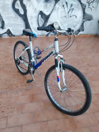 Bicicletta MTX ATALA da Ragazzo