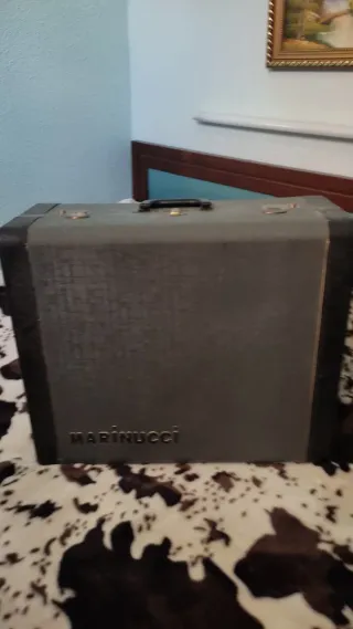 Acordeón 120 bajos ( Parrot- Scandali)