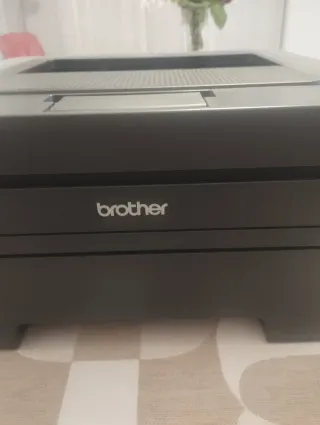 Stampante Brother HL-2250DN di rete per parti