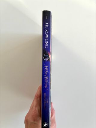 Harry Potter y la piedra filosofal (Harry Potte...