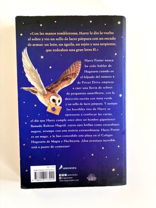 Harry Potter y la piedra filosofal (Harry Potte...