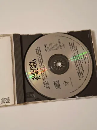 CD Suicidal Tendencies Punk Rock