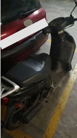Honda Scoopy 50 SH