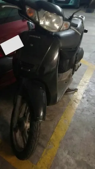 Honda Scoopy 50 SH
