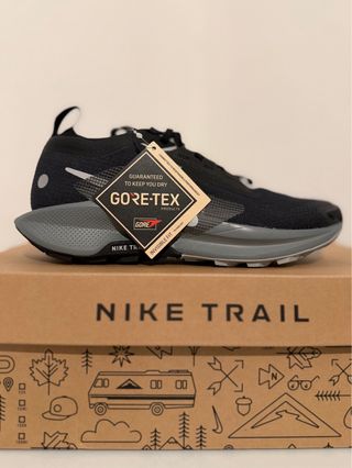 Nike Pegasus Trail 5 GORE-TEX