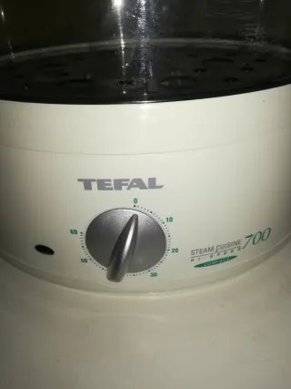 Tefal Vaporiera 700