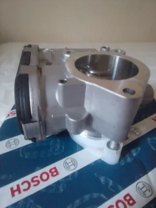 Cuerpo de Mariposa Bosch