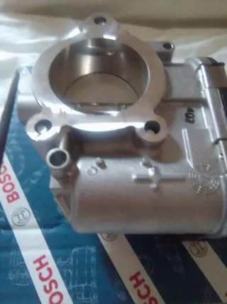 Cuerpo de Mariposa Bosch