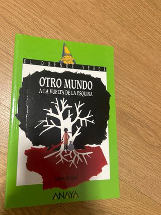 Pamela Panamá y el hechizo final (Spanish Edition)