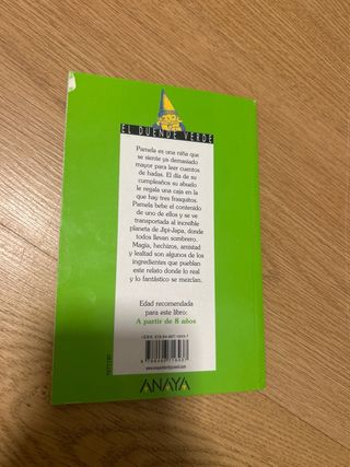 Pamela Panamá y el hechizo final (Spanish Edition)