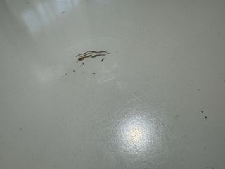 Mesa redonda IKEA DOCKSTA blanca y 4 sillas