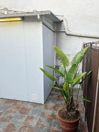 Piso en alquiler en Gorg - Pep Ventura en Badalona