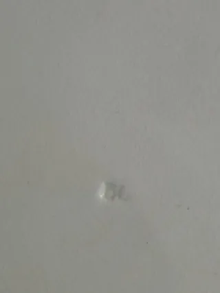 Antigua vajilla La Cartuja