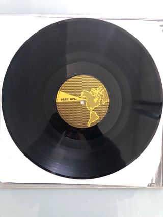 Wipers Youth of America LP Punk Rock