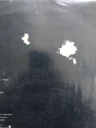 Wipers Youth of America LP Punk Rock