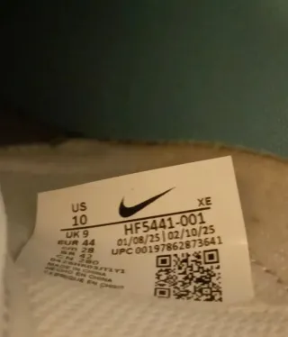 Nike Dunk Low Retro T44