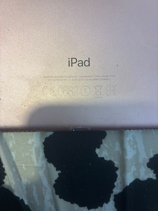 iPad Pro 10.5 Oro
