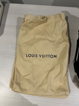 Louis Vuitton Skate Zapatillas Negras