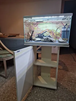 Dos acuarios con muebles incluidos y kits.