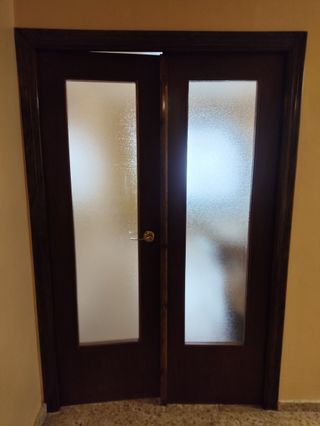 Puerta doble 62x200cm con cristal