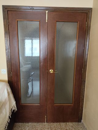 Puerta doble 62x200cm con cristal