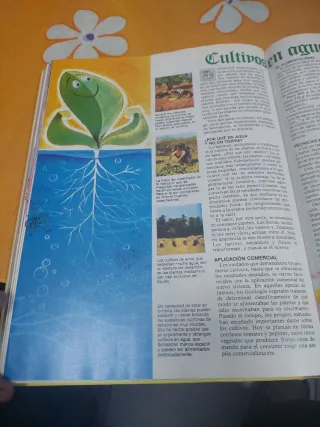 Libro gordo de petete