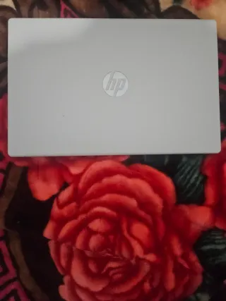Ordenador portátil HP Plata