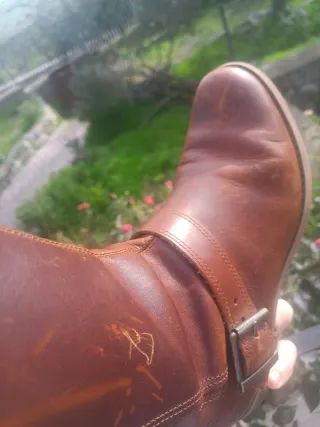 Stivaletti Timberland marroni