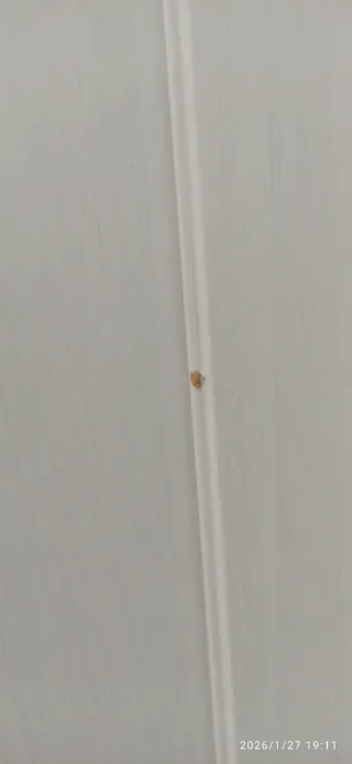 Armario ropero Ikea 3 puertas