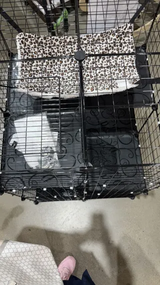 Jaula metálica para gatos