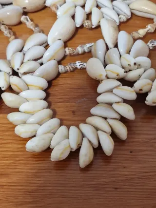 Salvamanteles de conchas marinas