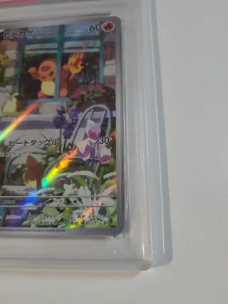 Charmander PSA 10 Japonés 051/049 Pokémon